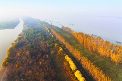 南京全力推動(dòng)長江經(jīng)濟(jì)帶高質(zhì)量發(fā)展