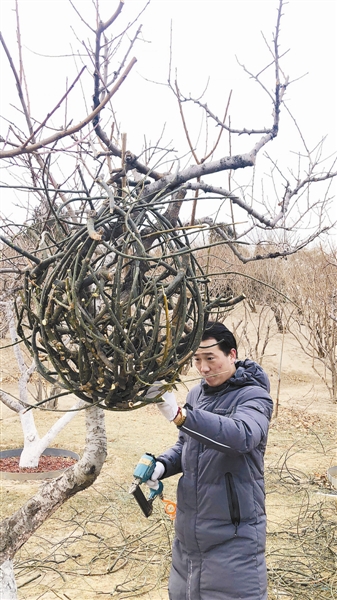 用枯枝落葉構建大地勝景