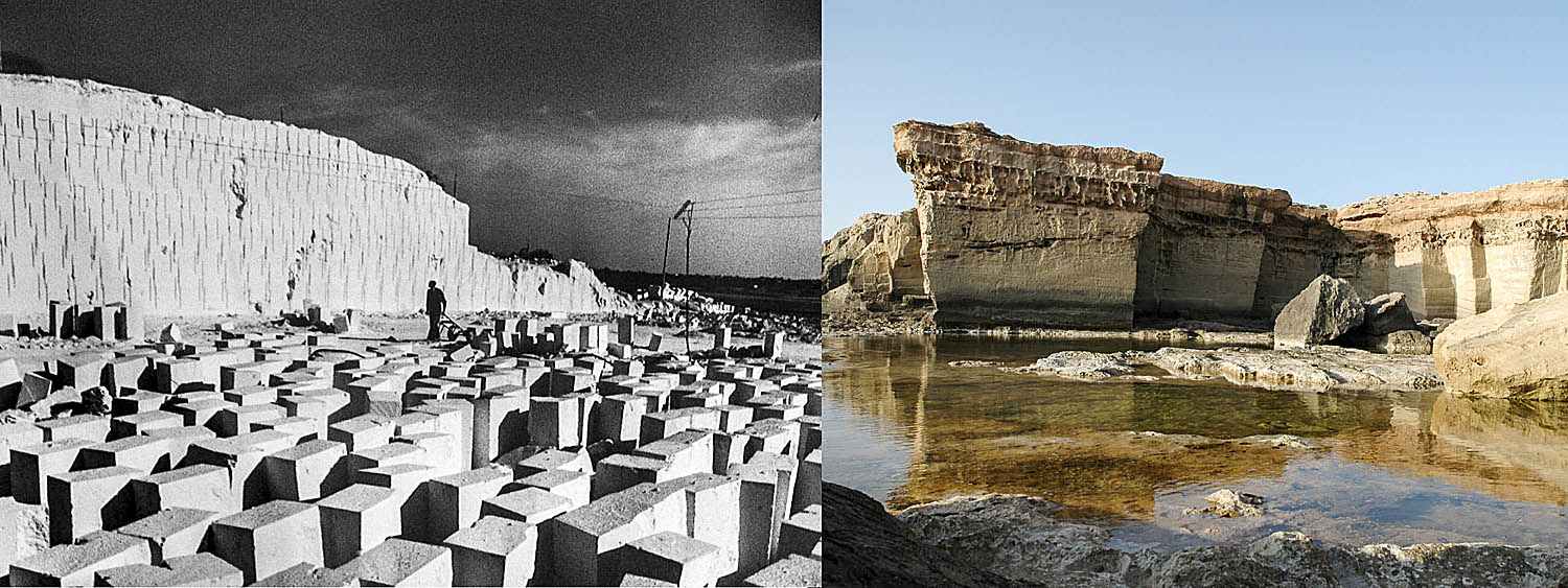 生態建筑——Bosc d’en Pep Ferrer