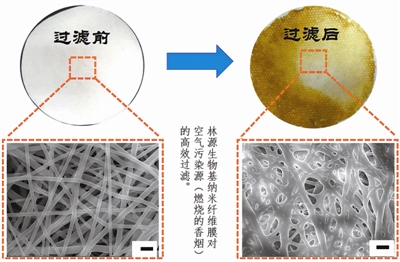 南林人專(zhuān)注農(nóng)林剩余物回收利用
