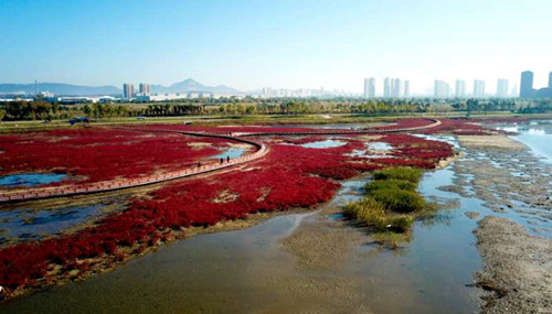 園冶杯大獎設計師鐘輝:做讓人有認同感的設計