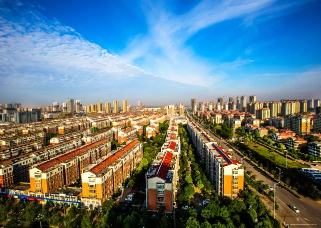 楊保軍:用文化激活城市發展