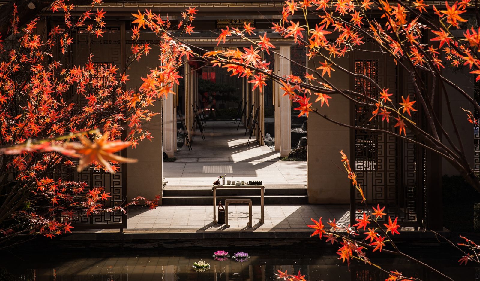 園冶杯大獎獲得者虞金龍:用匠心精神做設(shè)計