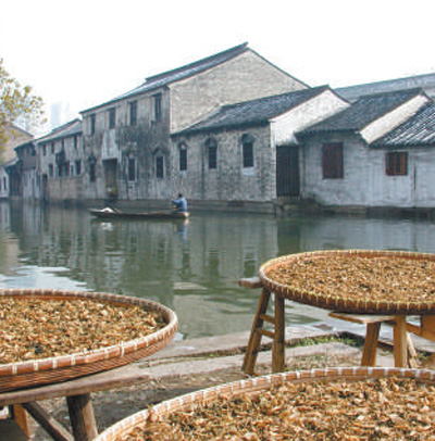 小橋流水人家——紹興歷史街區的復興