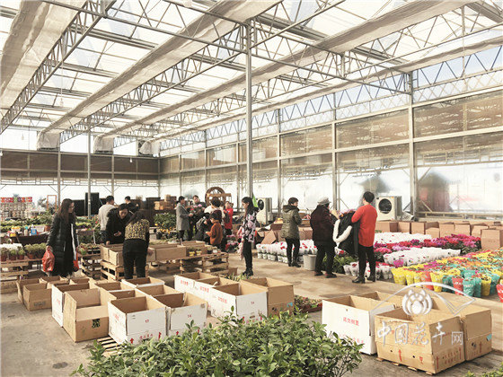 北京花卉市場疏解搬遷現狀調查