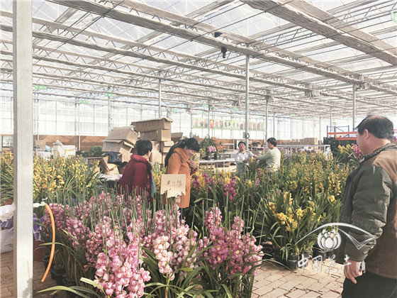 北京花卉市場疏解搬遷現狀調查