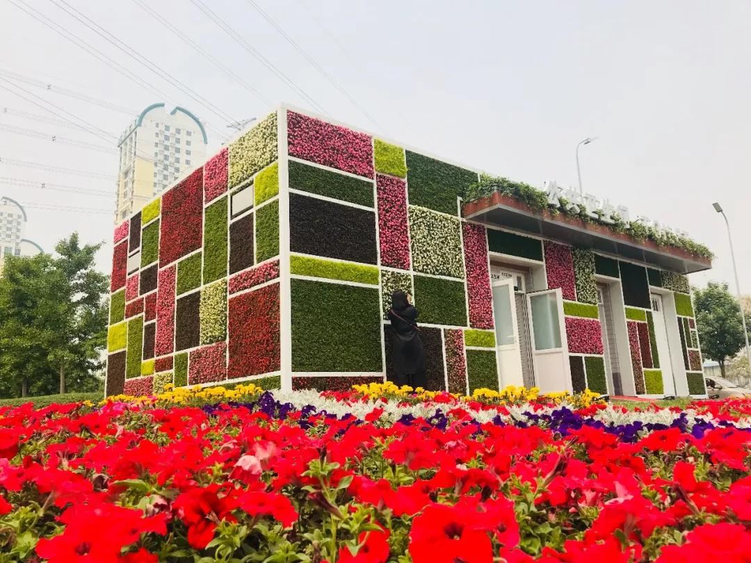 于運樂:網(wǎng)紅廁所的創(chuàng)意達人