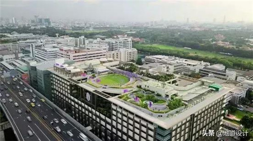 一個破舊機場與康養設計的曠世奇緣