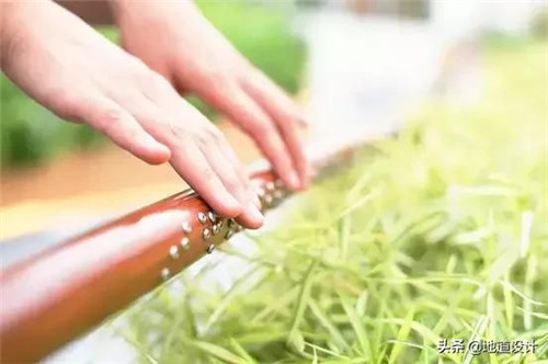 一個破舊機場與康養設計的曠世奇緣