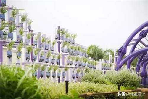 一個破舊機場與康養設計的曠世奇緣