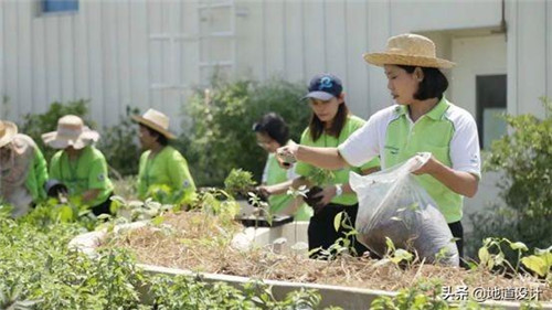 一個破舊機場與康養設計的曠世奇緣