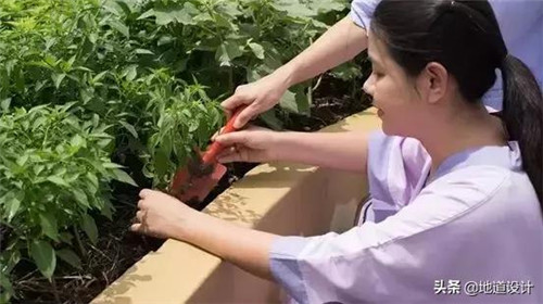 一個破舊機場與康養設計的曠世奇緣