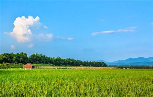 都市圈時代來了，鄉(xiāng)村振興的重大利好消息！