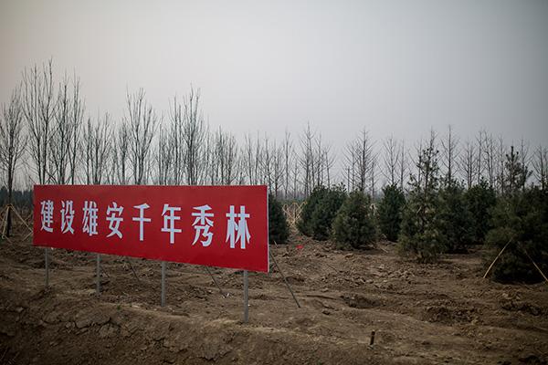 自然資源部調研組到雄安新區調研