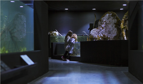 卡爾洛瓦茨淡水水族館和河流博物館