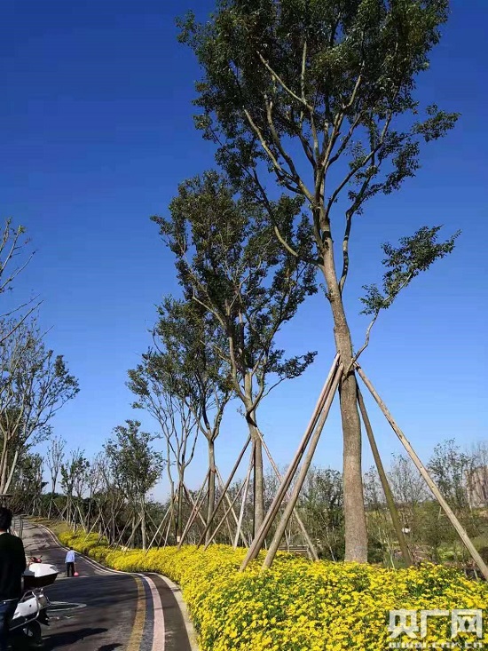 全國首個綠道設(shè)計真人秀等你來秀