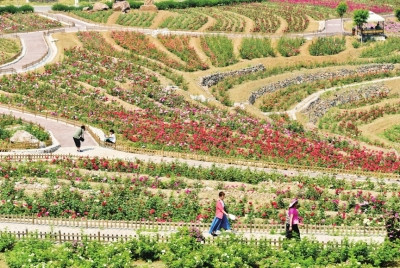 北京市鄉(xiāng)村振興戰(zhàn)略規(guī)劃(2018-2020年)解讀