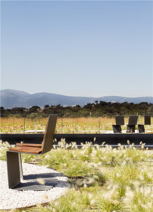 馬德里奧唐納街療養院花園
