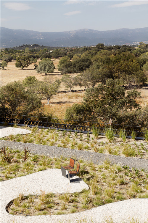 馬德里奧唐納街療養院花園