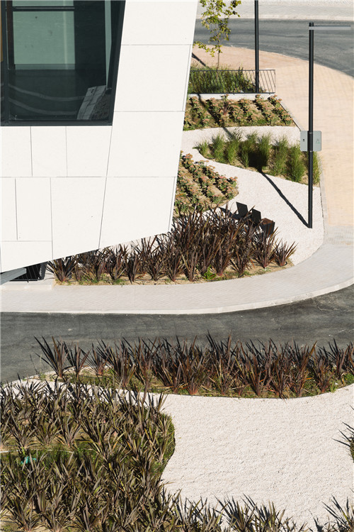 馬德里奧唐納街療養院花園