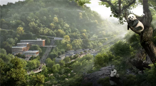 成都熊貓保護(hù)區(qū)制定總體規(guī)劃