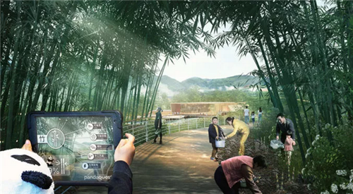 成都熊貓保護(hù)區(qū)制定總體規(guī)劃