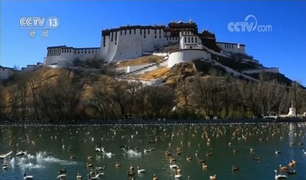 布達拉宮建筑設計圖首次亮相