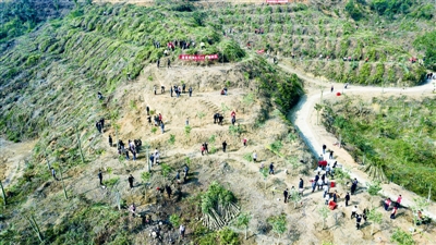 打造優美宜居的潮人生態家園