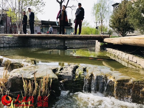 北京:街區更新 胡同里的“春天”藏不住