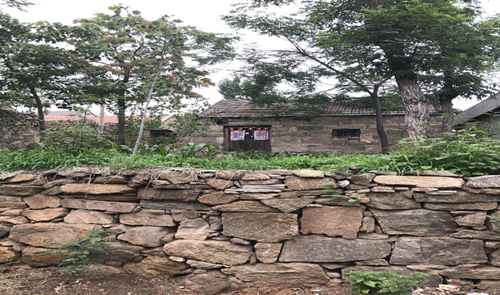 郗金標：養生小院——農村全面振興的模式探索