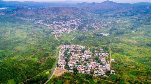 郗金標：養生小院——農村全面振興的模式探索