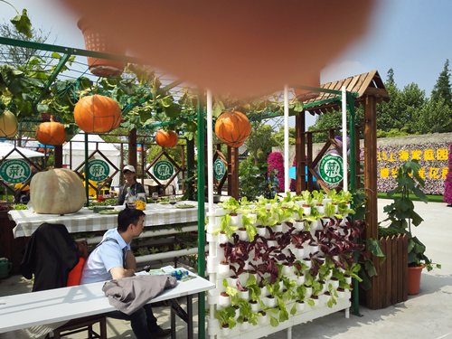 郗金標：養生小院——農村全面振興模式探索