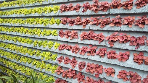 郗金標：養生小院——農村全面振興模式探索