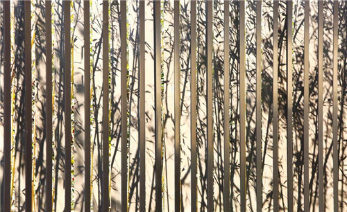 飛揚丨精于心簡于形丨招商越秀公園1872