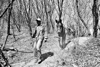 北京“長城文化帶”保護發展規劃公布