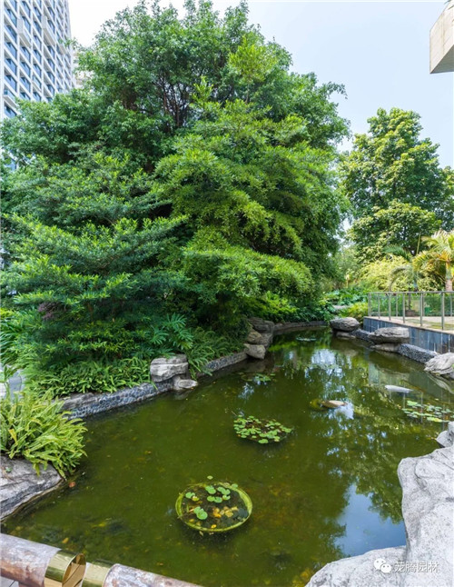 日觀山水,夜賞流螢|廣西北海北部灣1號(hào)