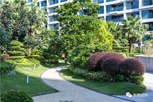 日觀山水,夜賞流螢|廣西北海北部灣1號(hào)