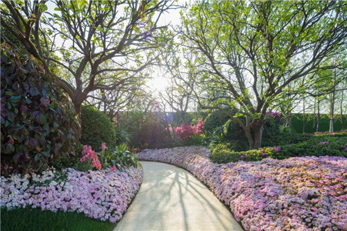 尋夢江淮 | 合肥龍湖景粼玖序