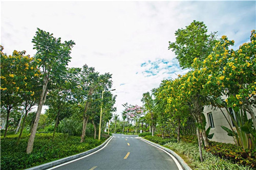 三亞海棠灣亞特蘭蒂斯水上樂園“地產園林獎”金獎擁入懷