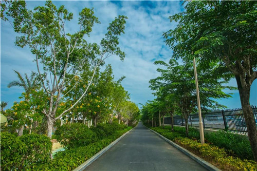 三亞海棠灣亞特蘭蒂斯水上樂園“地產園林獎”金獎擁入懷