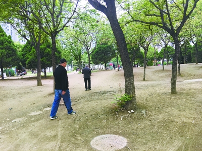 家門口的公園”最該適老