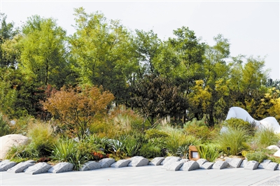 花境,園林景觀的“珍珠”