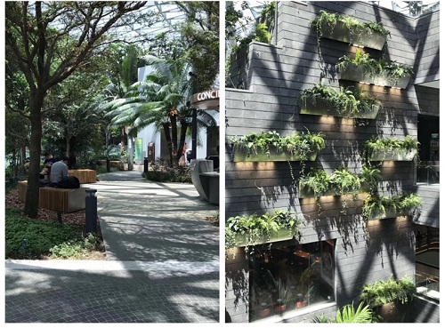 北京新機(jī)場(chǎng)試飛,看世界上令人驚嘆機(jī)場(chǎng)設(shè)計(jì)