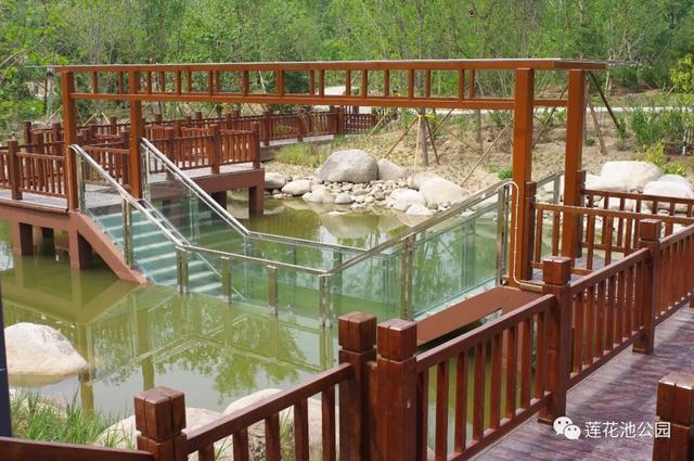 北京蓮花池公園:科技打造“城市森林”