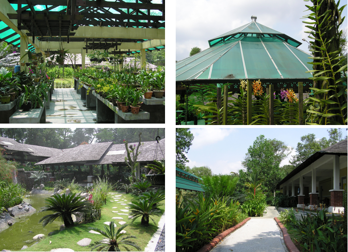 高溫天氣來襲,如何通過設計來為建筑降溫?