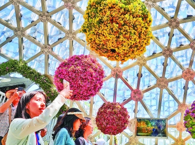 世園會飄來“上海云”