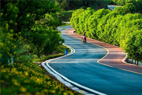 令人拍案叫絕的綠道景觀設計