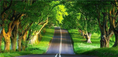 令人拍案叫絕的綠道景觀設計