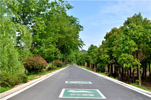 令人拍案叫絕的綠道景觀設計