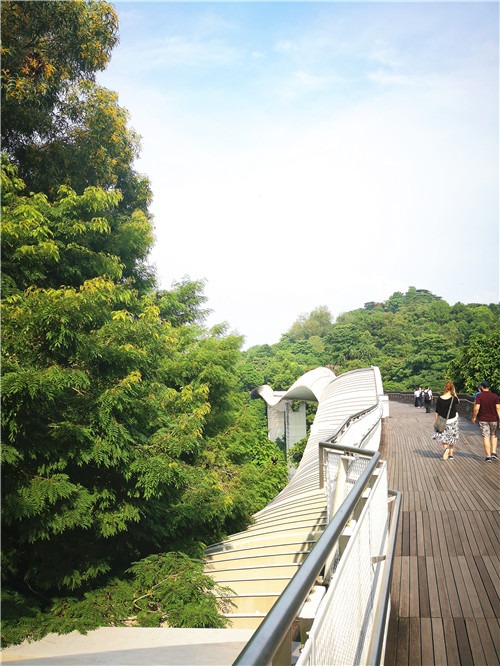 令人拍案叫絕的綠道景觀設計